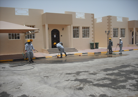 Image1